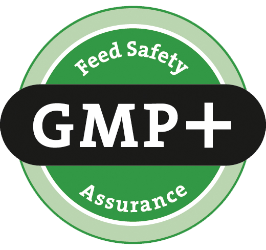 GMP logo